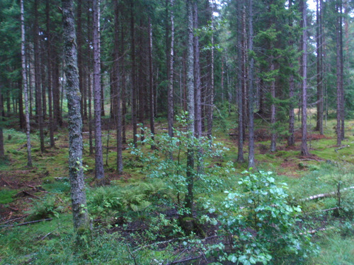 Cycling to Askersund.